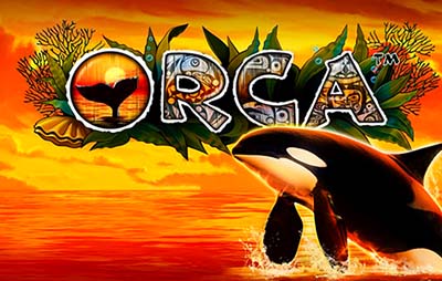 Orca